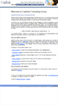 Mobile Screenshot of capriskgroup.com
